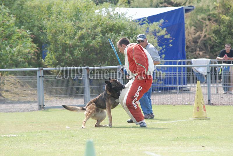 3 EME SELECTIF 2009 GRANDE SYNTHE 684.jpg